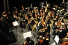 Ver galer�a Edici�n 2009